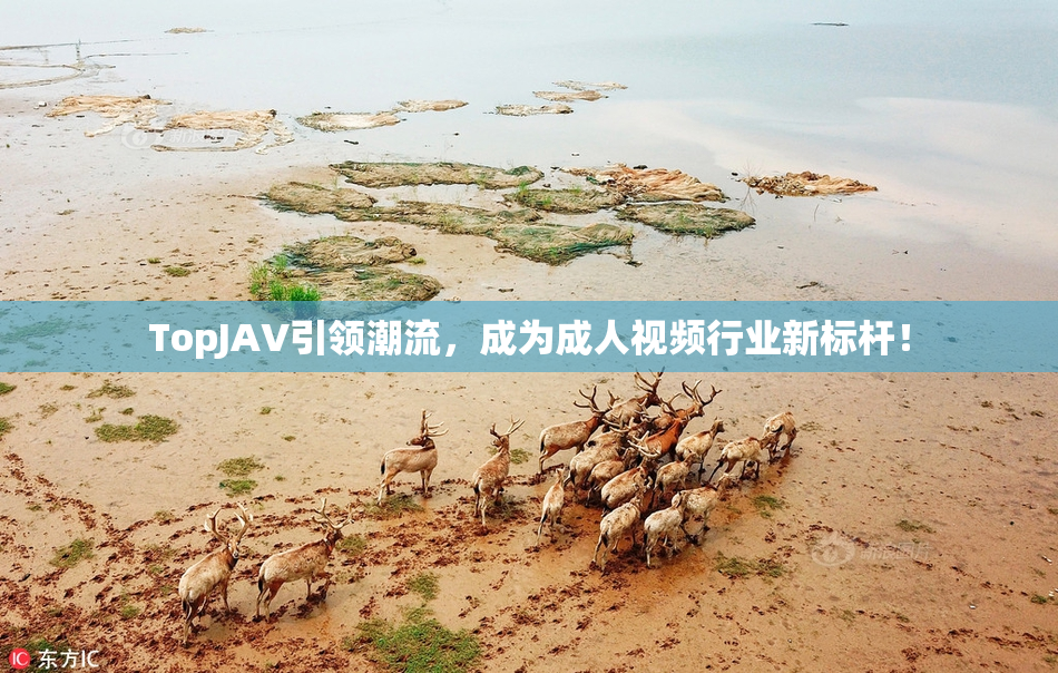 TopJAV引领潮流，成为成人视频行业新标杆！