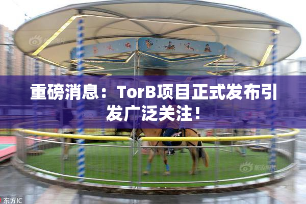 重磅消息：TorB项目正式发布引发广泛关注！