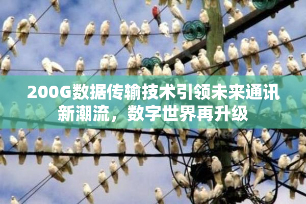 200G数据传输技术引领未来通讯新潮流，数字世界再升级
