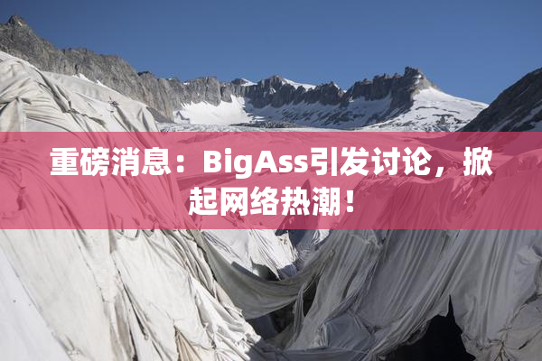 重磅消息：BigAss引发讨论，掀起网络热潮！