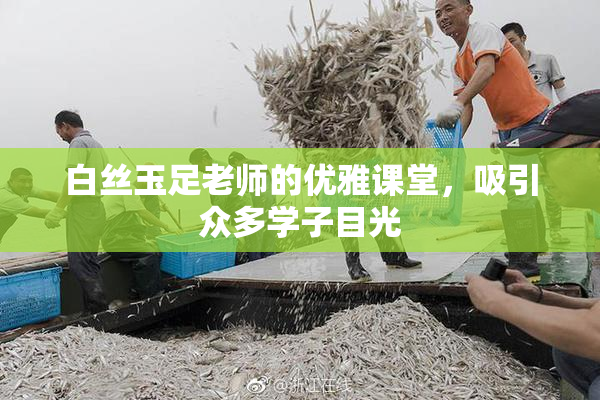 白丝玉足老师的优雅课堂，吸引众多学子目光