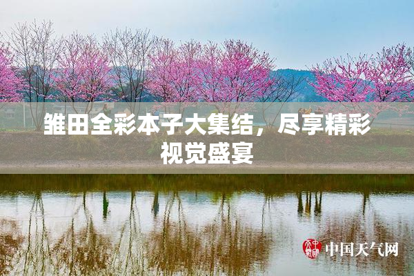 雏田全彩本子大集结，尽享精彩视觉盛宴
