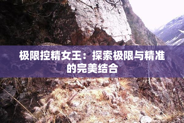 极限控精女王：探索极限与精准的完美结合