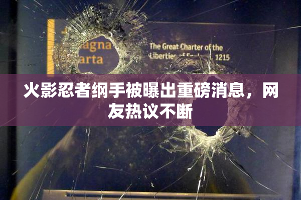 火影忍者纲手被曝出重磅消息，网友热议不断