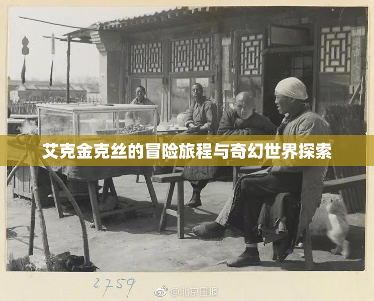 艾克金克丝的冒险旅程与奇幻世界探索