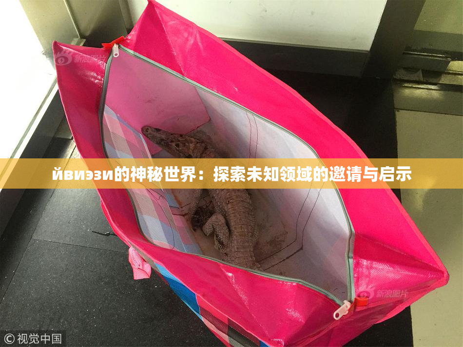 йвиэзи的神秘世界：探索未知领域的邀请与启示