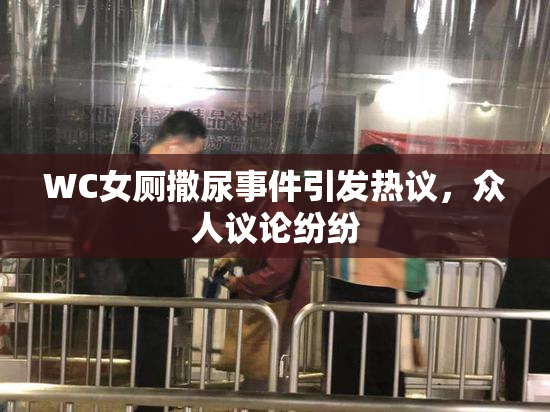 WC女厕撒尿事件引发热议，众人议论纷纷