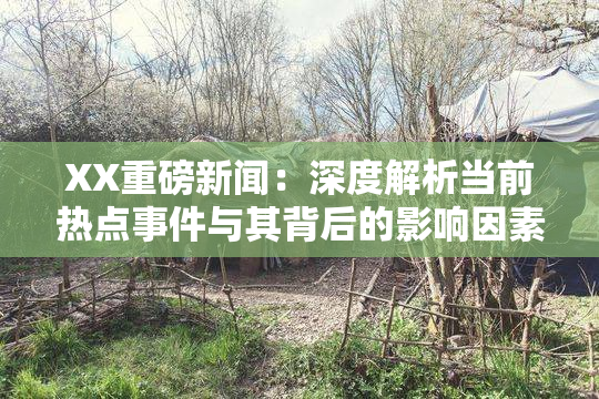 XX重磅新闻：深度解析当前热点事件与其背后的影响因素