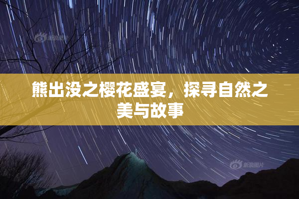 熊出没之樱花盛宴，探寻自然之美与故事