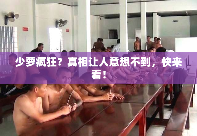 少萝疯狂？真相让人意想不到，快来看！