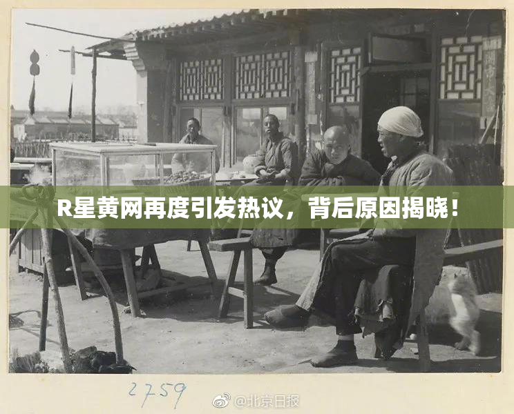 R星黄网再度引发热议，背后原因揭晓！