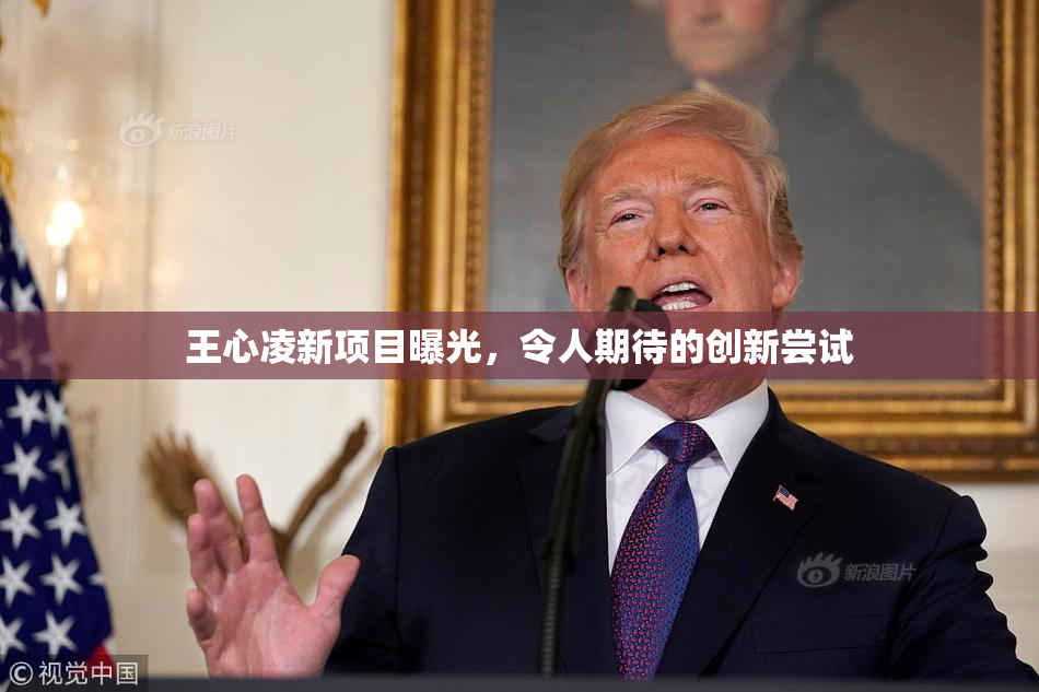 王心凌新项目曝光，令人期待的创新尝试