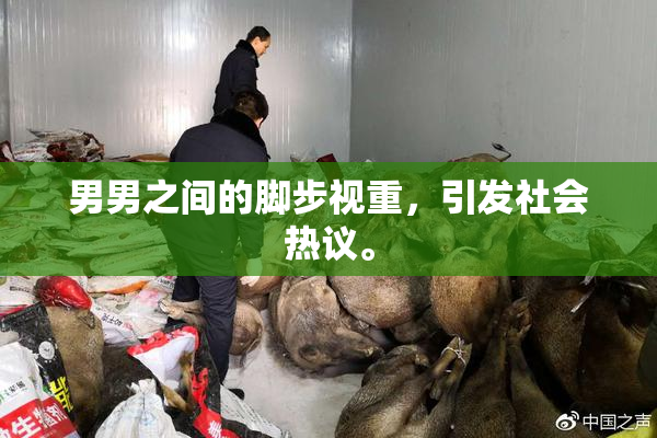 男男之间的脚步视重，引发社会热议。