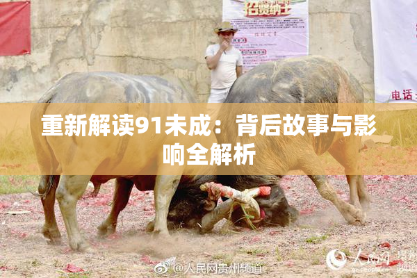 重新解读91未成：背后故事与影响全解析