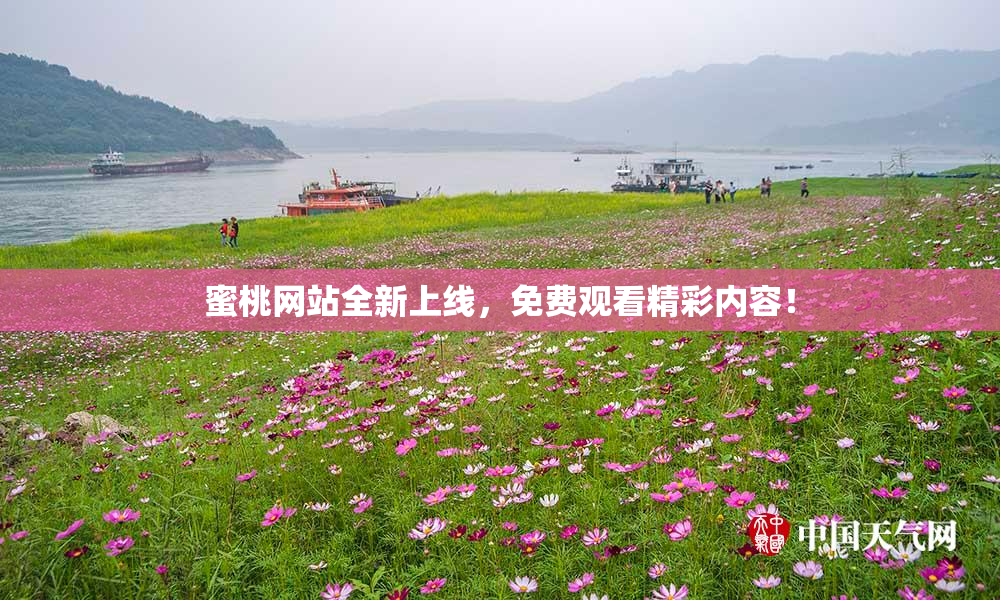 蜜桃网站全新上线，免费观看精彩内容！