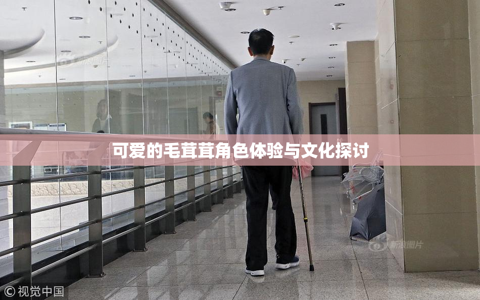 可爱的毛茸茸角色体验与文化探讨