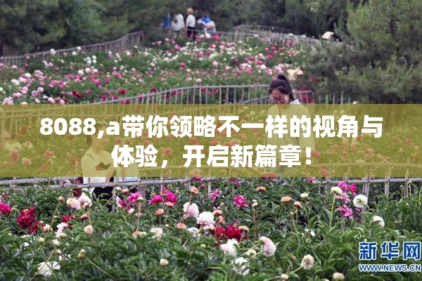 8088,a带你领略不一样的视角与体验，开启新篇章！