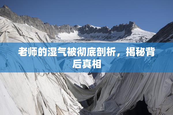 老师的湿气被彻底剖析，揭秘背后真相