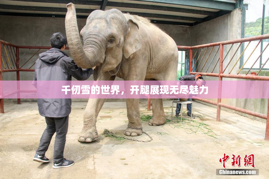 千仞雪的世界，开腿展现无尽魅力