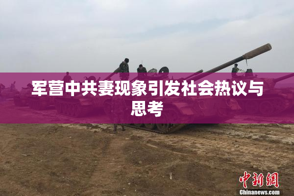 军营中共妻现象引发社会热议与思考