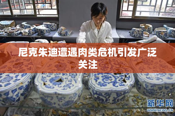 尼克朱迪遭遇肉类危机引发广泛关注