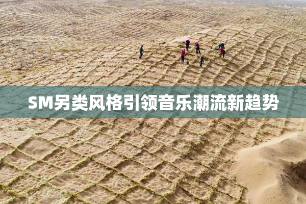 SM另类风格引领音乐潮流新趋势
