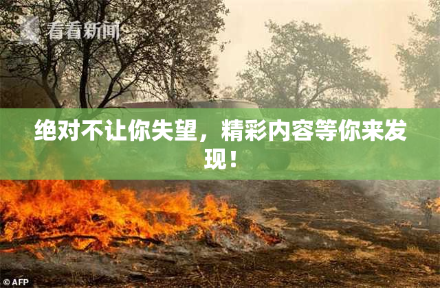 绝对不让你失望，精彩内容等你来发现！
