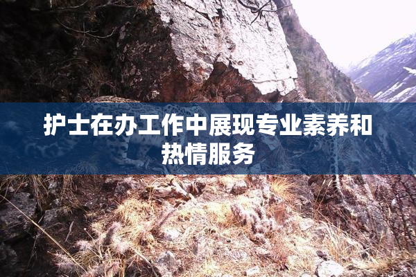 护士在办工作中展现专业素养和热情服务