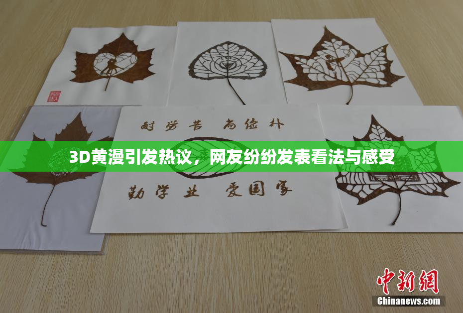 3D黄漫引发热议，网友纷纷发表看法与感受