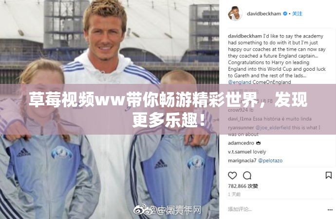 草莓视频ww带你畅游精彩世界，发现更多乐趣！