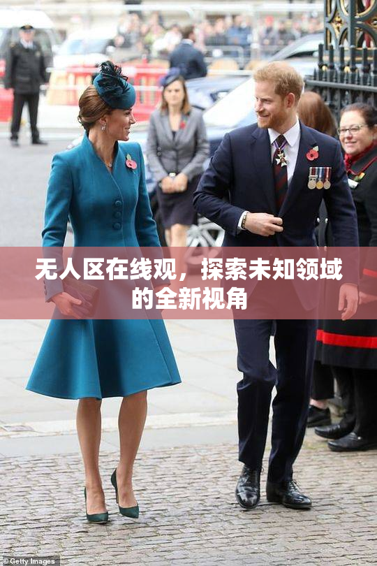 无人区在线观，探索未知领域的全新视角