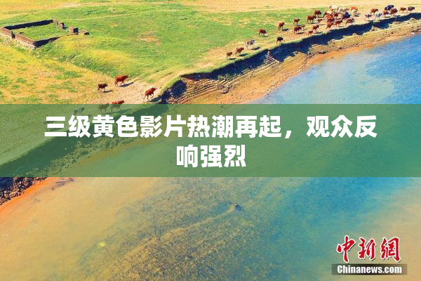 三级黄色影片热潮再起，观众反响强烈