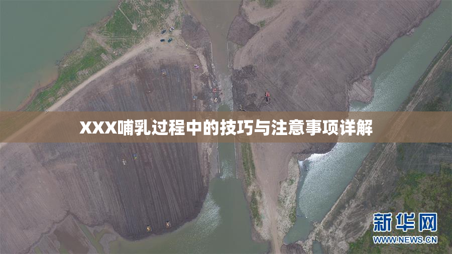 XXX哺乳过程中的技巧与注意事项详解