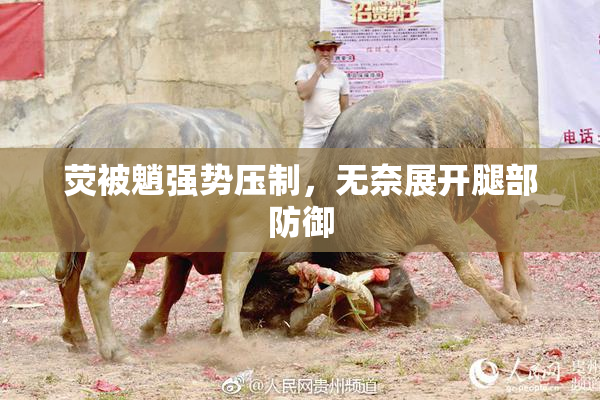 荧被魈强势压制，无奈展开腿部防御