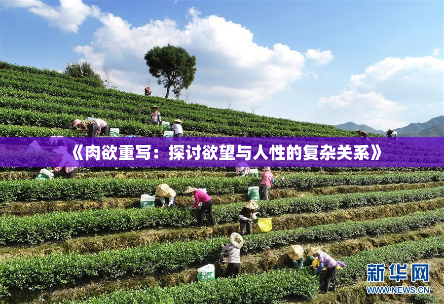《肉欲重写：探讨欲望与人性的复杂关系》