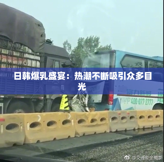 日韩爆乳盛宴：热潮不断吸引众多目光