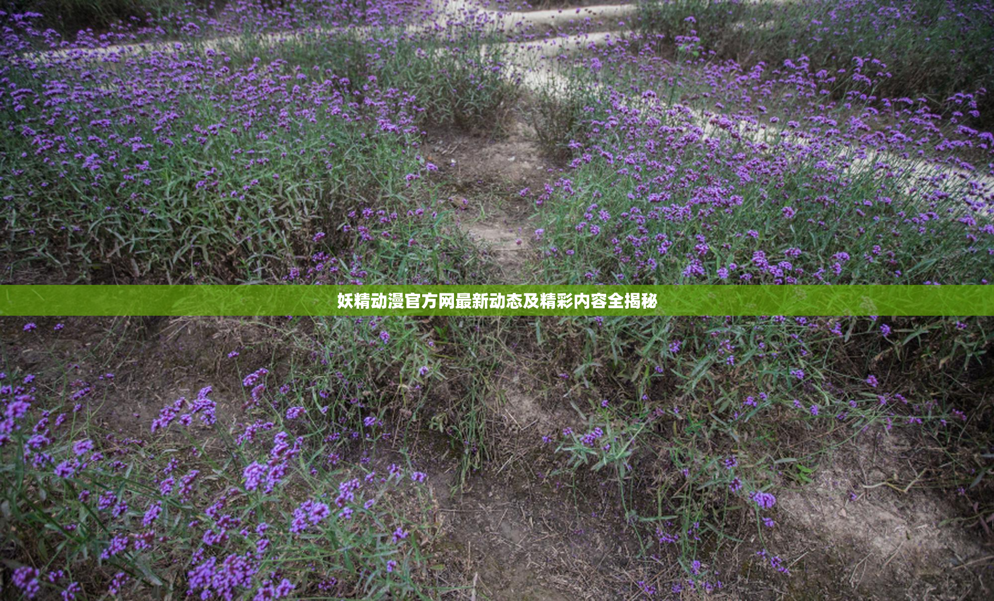 妖精动漫官方网最新动态及精彩内容全揭秘