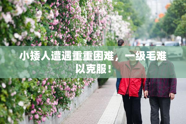 小矮人遭遇重重困难，一级毛难以克服！
