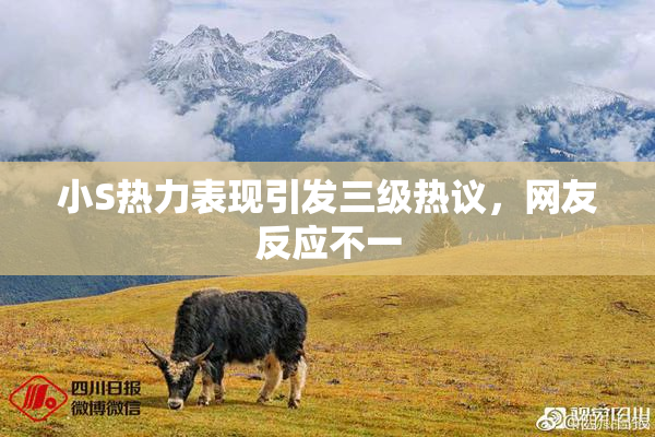 小S热力表现引发三级热议，网友反应不一