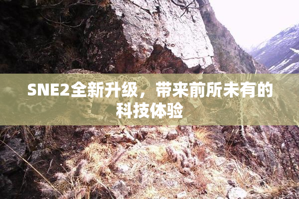 SNE2全新升级，带来前所未有的科技体验