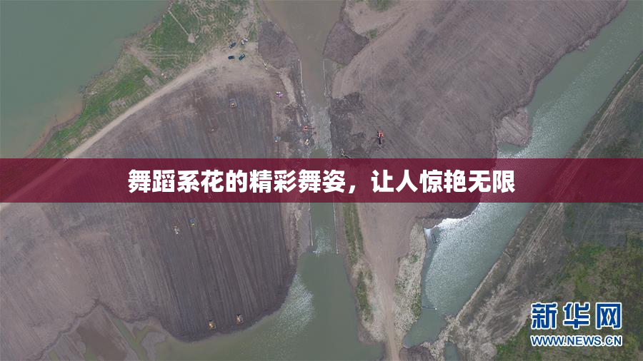 舞蹈系花的精彩舞姿，让人惊艳无限