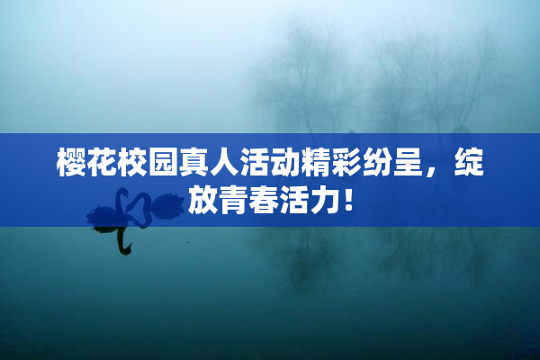 樱花校园真人活动精彩纷呈，绽放青春活力！