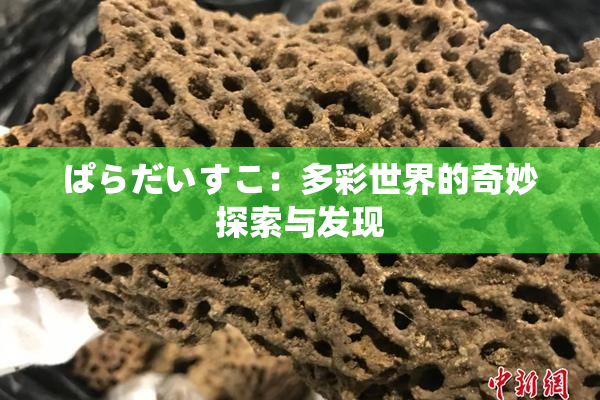 ぱらだいすこ：多彩世界的奇妙探索与发现