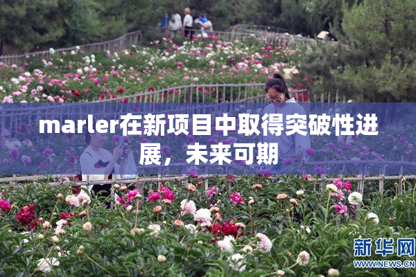 marler在新项目中取得突破性进展，未来可期