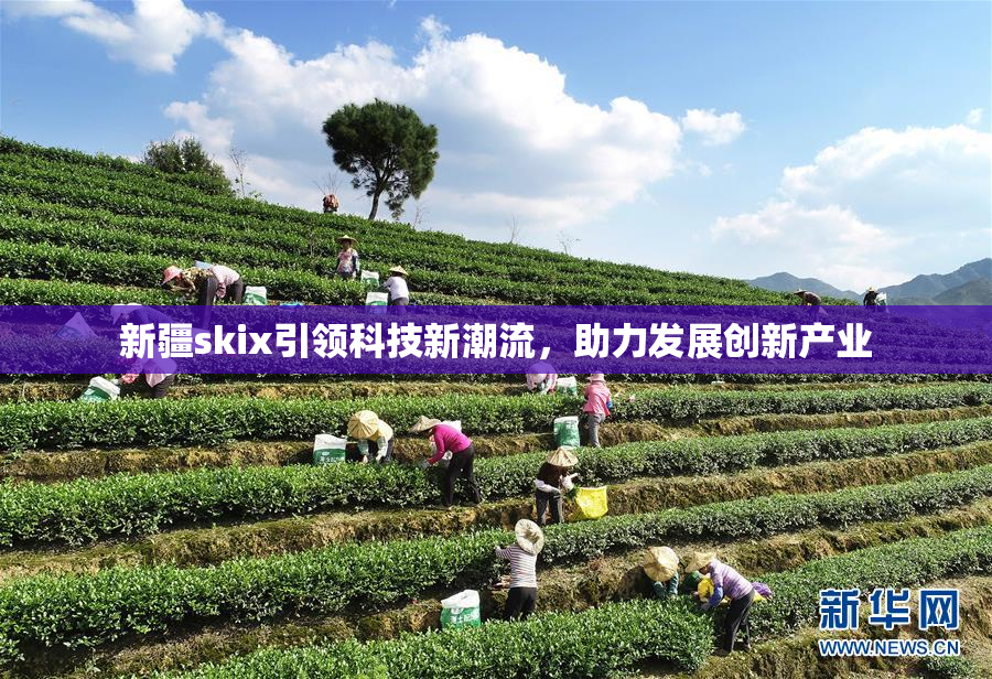 新疆skix引领科技新潮流，助力发展创新产业