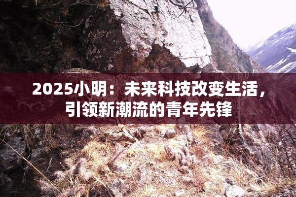 2025小明：未来科技改变生活，引领新潮流的青年先锋
