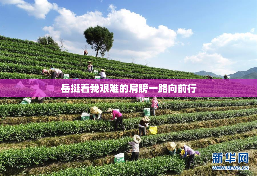 岳挺着我艰难的肩膀一路向前行