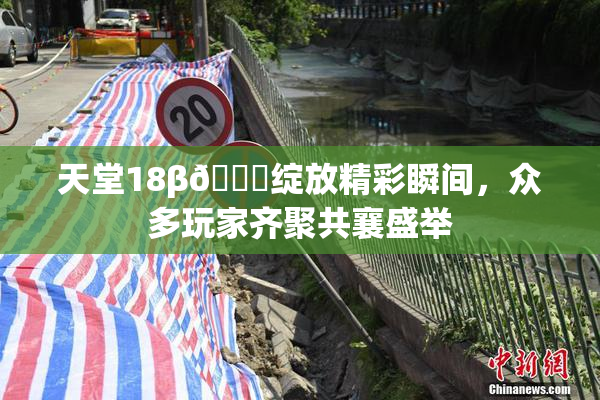 天堂18β🍆绽放精彩瞬间，众多玩家齐聚共襄盛举