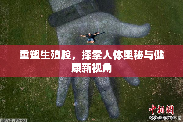 重塑生殖腔，探索人体奥秘与健康新视角