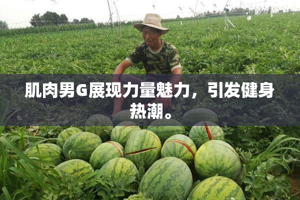 肌肉男G展现力量魅力，引发健身热潮。